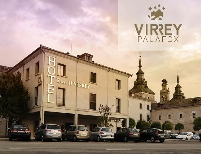 Ii Virrey 4* El Burgo De Osma